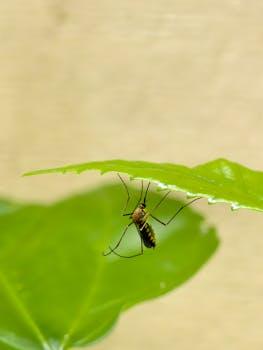 Is malaria incidence declining in climate-vulnerable regions?