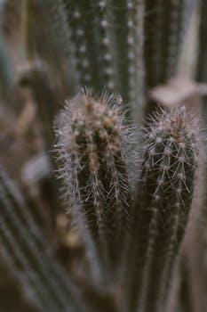 Is maternal mortality improving in drought-prone regions?